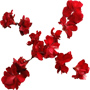 annexepetitsspectateurs_cie_songes